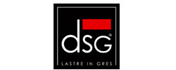 dsg